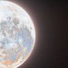 37.2℃_261