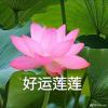 告白