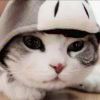 ღ小橘子✿