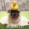风凉