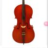 不会用方程的violin