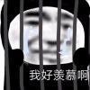 中国鼎盛-雪白的乌云