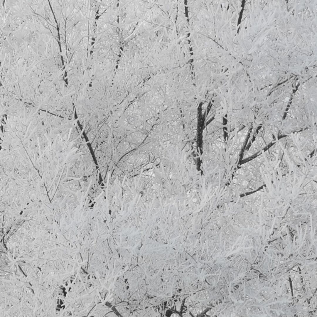 欧