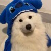 人才文俊