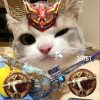 LEOZHAO