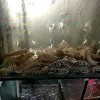 ☞因爲╰☆╮愛☜