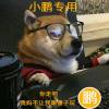 逝水年华_159