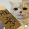 赵先森