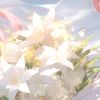 ★繁※星☆