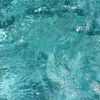 用户18707864的头像-iPA资源站