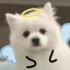 晚安。_857