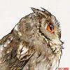用户13494991的头像-七玩网
