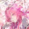 Rin24241