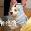 用户_4179