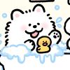 笑饮孤鸿