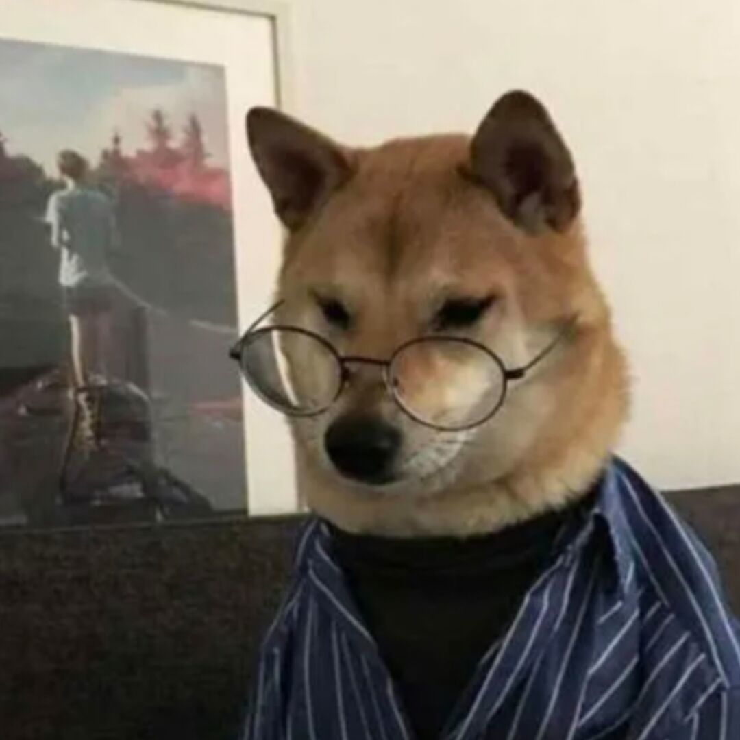卡特夫