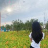 3232618560qq-资源V站