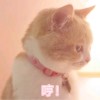 用户82953246的头像-七玩网