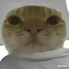 用户64509858的头像-iPA资源站