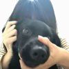 tom德的头像-【TITAIKE】T太科网