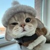 玩遍天下技师的头像-LSPosed中文网
