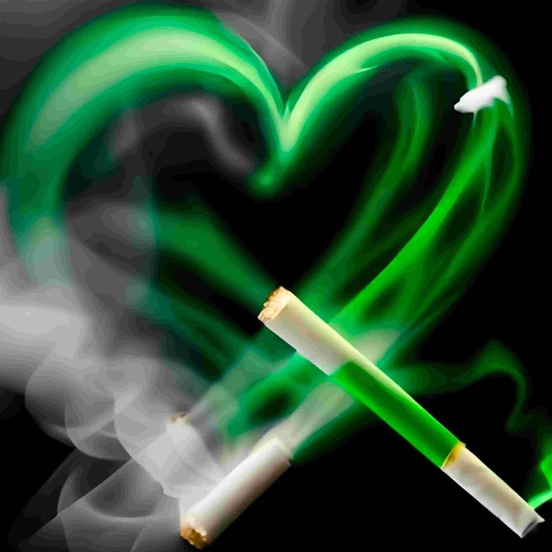 陆子岚的癞蛤蟆