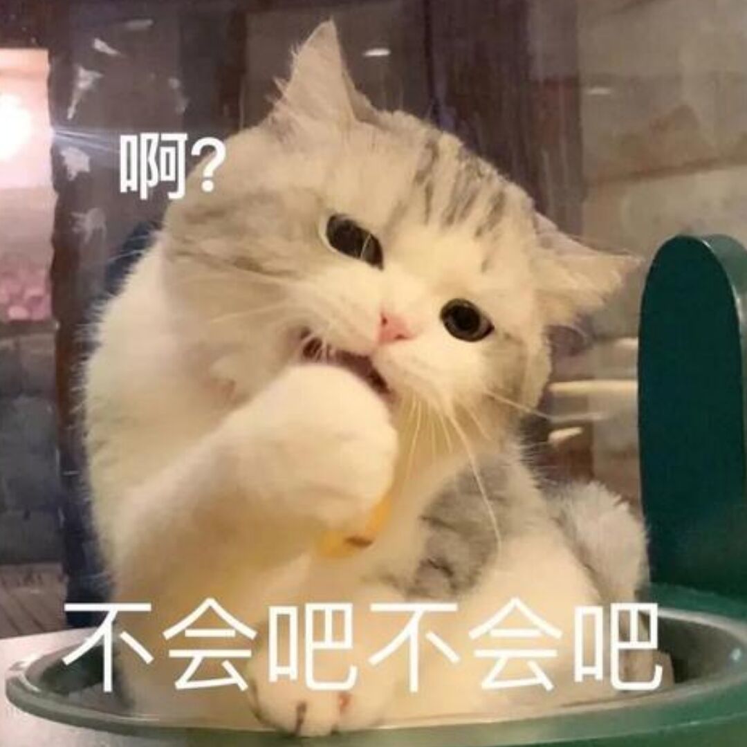 白玉京