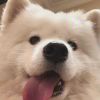 pipz的头像-【TITAIKE】T太科网