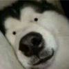 濤