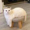 用户_5463