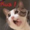 guantou17