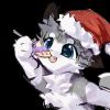 猫猫_543