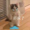 用户80731108的头像 - 游戏网格GameGrid