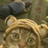 风枕云襟