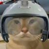 九渊
