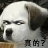 啧，开摆