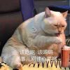 Pohhy丶