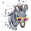 ZEbra_905