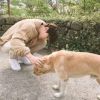 猫猫爱次鱼