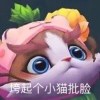 liaowujiqila的头像-【TITAIKE】T太科网