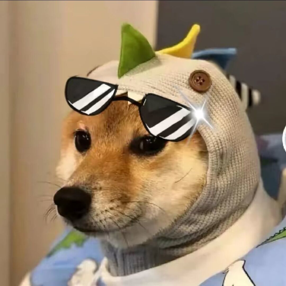 Е至菜狗
