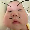 噗噜噗的头像
