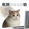 听_779