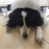 无声对白
