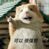 高山寻明月