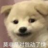 月亮在笑丶的头像-iPA资源站