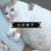 尘染_697
