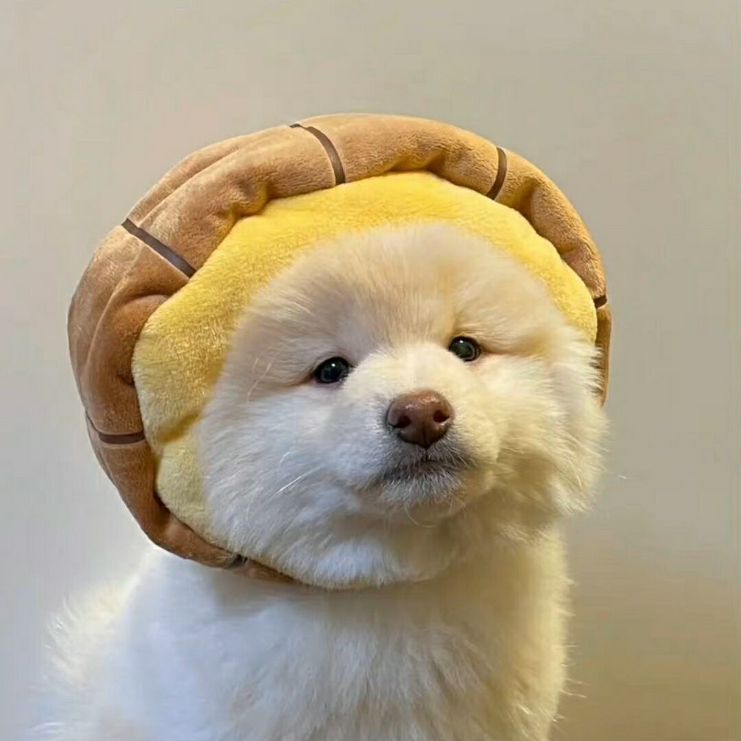 凉冰