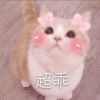 Z。_815