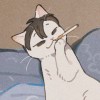 15的头像
